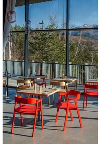 Sedia da pranzo rossa in rovere massiccio con braccioli Flip – Gazzda