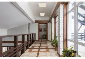 Globo 12380-18W - Plafoniera LED LASSE LED/18W/230V 3000/4000/6500K bianco