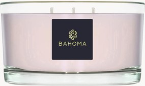 Candela profumata con tre stoppini fatta a mano (peonia vellutata e cashmere)