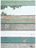 studio ditte Carta da parati Scrapwood Green - Scrapwood Green