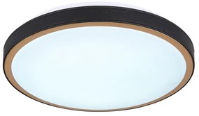 Globo 41765-12 - Plafoniera LED SAMMI LED/12W/230V 3000/4500/6000K