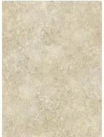 Cole & Son Carta da parati Patina Haze - Soft Gold