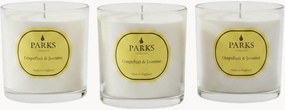 Set di 3 candele profumate fatte a mano Vintage Aromatherapy (pompelmo, gelsomino e muschio bianco)