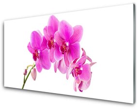 Quadro vetro Fiore di orchidea 100x50 cm