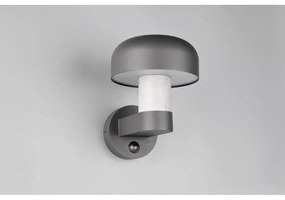 Illuminazione esterna con sensore di movimento da parete (altezza totale 24,5 cm) Fraser – Trio