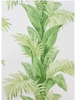 Nina Campbell Carta da parati Palmetto - Green/ Ivory
