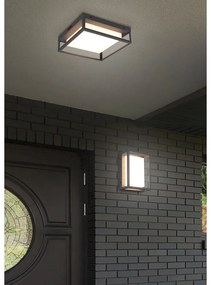 Applique da esterno a LED (altezza 10 cm) Witham - Trio