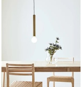 Markslöjd 108259 - Lampadario a sospensione con filo SENCILLO 1xE27/40W/230V oro