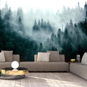 Fotomurale  Mountain Forest (Dark Green)  Larghezza x Altezza Home decor 100x70