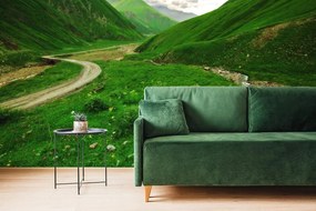 Carta da parati – Paesaggio verde