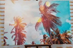 Stampa su tela – Raggi di sole tra le palme