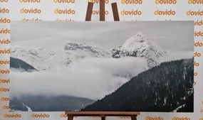 Stampa su tela – Paesaggio invernale in bianco e nero