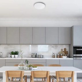 Rabalux 3427 - Plafoniera LED PAVEL LED/18W/230V