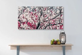 Quadro su tela – Fiori di pesco