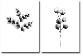 Set di 2 quadri Galilo - Wallity