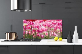 Pannello cucina paraschizzi Tulipani, fiori, natura 100x50 cm
