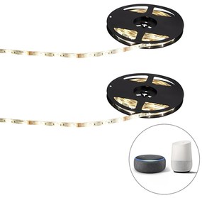 Set di 2 strisce LED intelligenti RGBW 5 metri 24W con driver