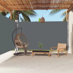 Tenda Da Sole Laterale Retrattile Antracite 220x600 Cm /