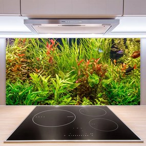 Pannello paraschizzi cucina Acquario, pesci, piante 100x50 cm