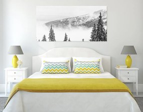 Quadro su tela – Alberi di pino innevati in bianco e nero