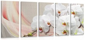 Quadri 5 pezzi – Orchidea bianca su tela
