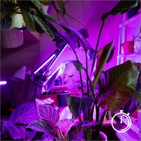 Lampada da terra dimmerabile a LED per la coltivazione di piante VITARO 4xLED/7,5W/230V nero