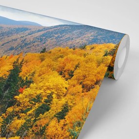 Fotomurale – Vista sulle montagne maestose
