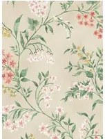 Nina Campbell Tapete Almora - Coral/ Yellow/ Green