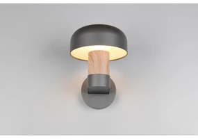 Illuminazione esterna da parete (altezza totale 24,5 cm) Fraser – Trio