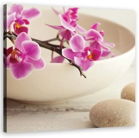 Quadro su tela, Orchidee rosa nel piatto