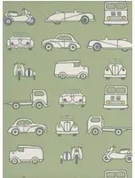 Little Greene Carta da parati Road Trip - Pea Green