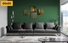 Set di quadri – Brezza della natura