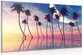 Stampa su tela – Tramonto sopra palme tropicali