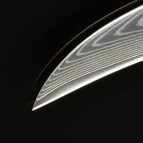 Gudaro - Coltello da cucina per frutta in acciaio damascato FENG 3,5", 67 strati d'acciaio, lunghezza 9,5 cm