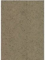Arte International Carta da parati Serene - Gold/ Schwarz