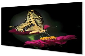 Quadro vetro acrilico Farfalla di fiori 100x50 cm