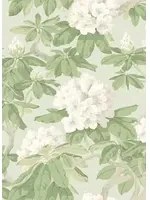 Cole & Son Carta da parati Bourlie - Duck Egg