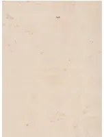 Terrastone Rustique floor - 15kg - 75 - Latte Macchiato