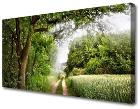 Quadro su tela Alberi del percorso della natura 100x50 cm