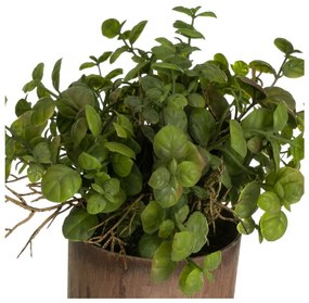 Piante artificiali in set da 2 (altezza 22 cm) - Casa Selección