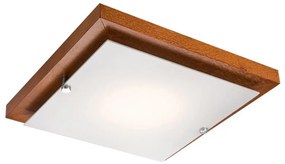 Plafoniera LED 1x12W/230V