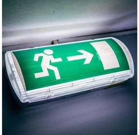 Luce di emergenza a LED EMERGENCY EXIT LED/3W/230V 6400K IP65