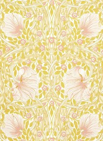 Morris & Co Carta da parati Simply Pimpernel - Sunflower/ Pink