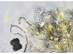 Catena LED da esterno natalizia 40xLED/3,3m IP44 bianco caldo