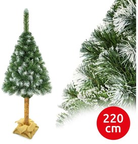 Albero di Natale su tronco 220 cm pino