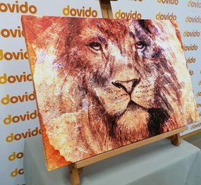 Quadro su tela – Volto del leone
