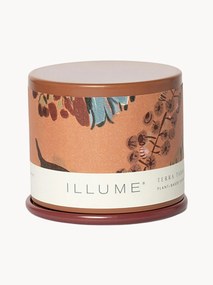 Candela profumata Vanity Tin (muschio di cashmere, foglia di tabacco e arancia)