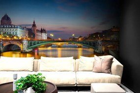 Carta da parati – Panorama abbagliante di Parigi