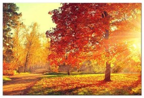 Quadro  Autumn Afternoon (1 Part) Wide  Larghezza x Altezza Home decor 90x60