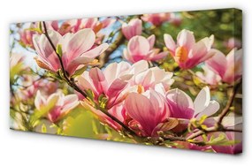 Quadro su tela Magnolia rosa 100x50 cm